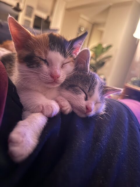 Mia en Paulus