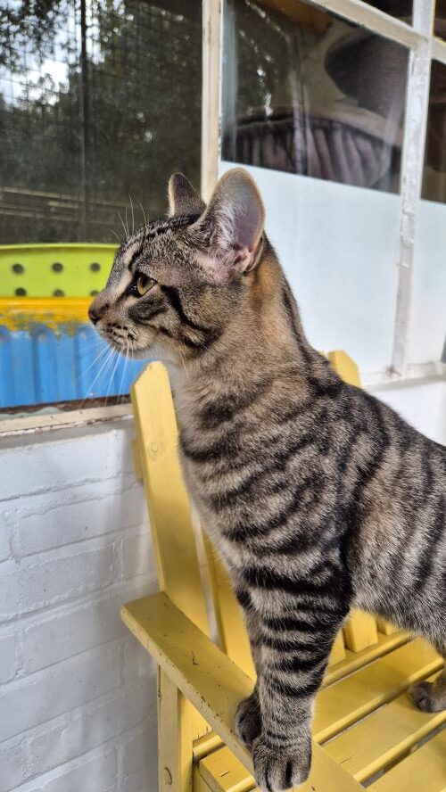 Tijm is gereserveerd