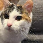 PHOTO-2026-01-21-20-16-57