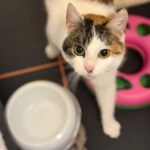 PHOTO-2026-01-21-20-16-58