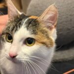 PHOTO-2026-01-21-20-16-58 (2)