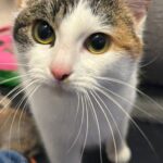 PHOTO-2026-01-21-20-16-58 (3)