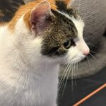 PHOTO-2026-01-21-20-16-58 (4)