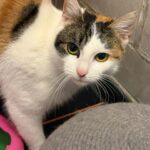 PHOTO-2026-01-21-20-16-58 (5)