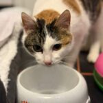 PHOTO-2026-01-21-20-16-58 (6)