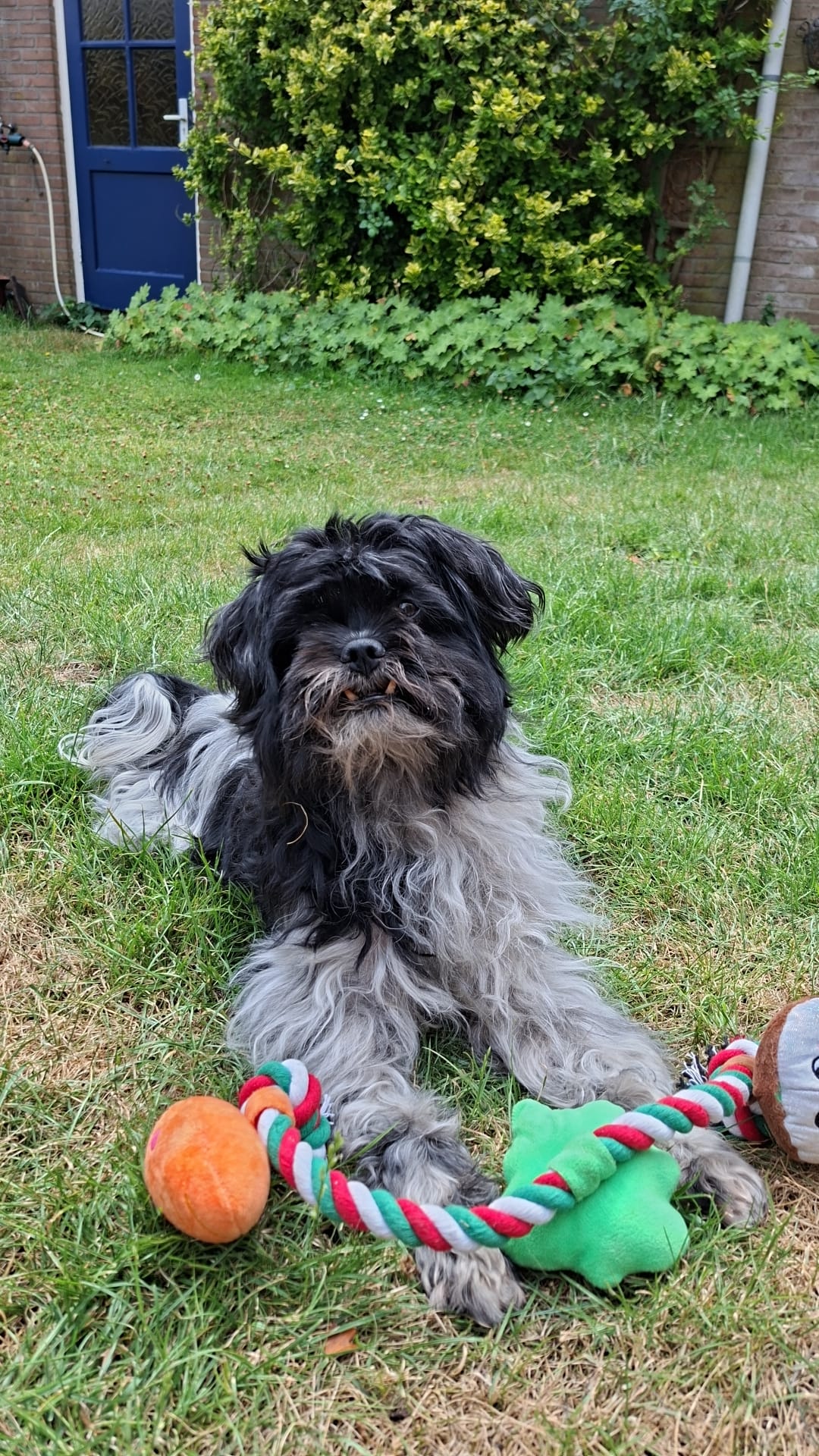 Vanya