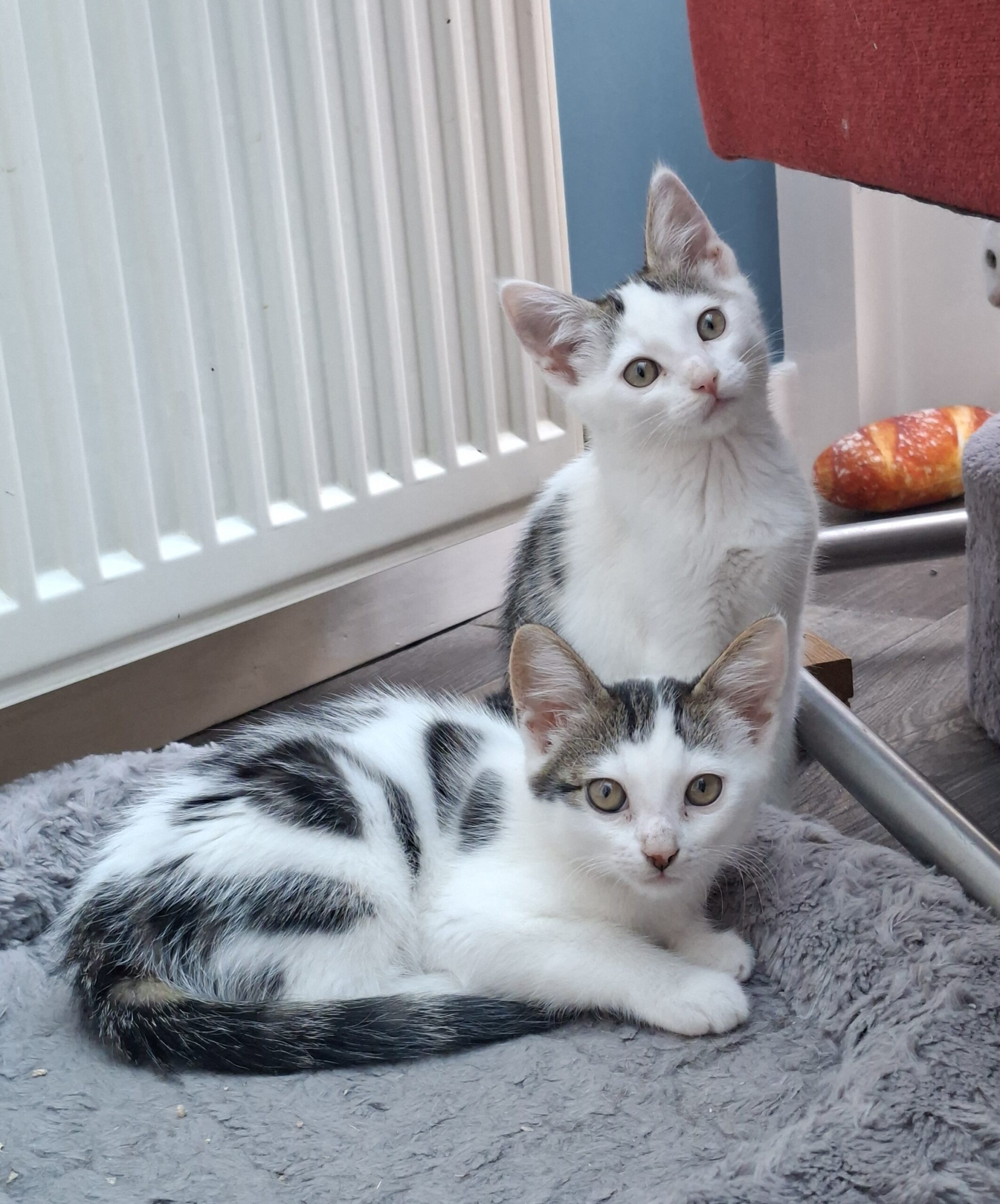 Onno & Olivia