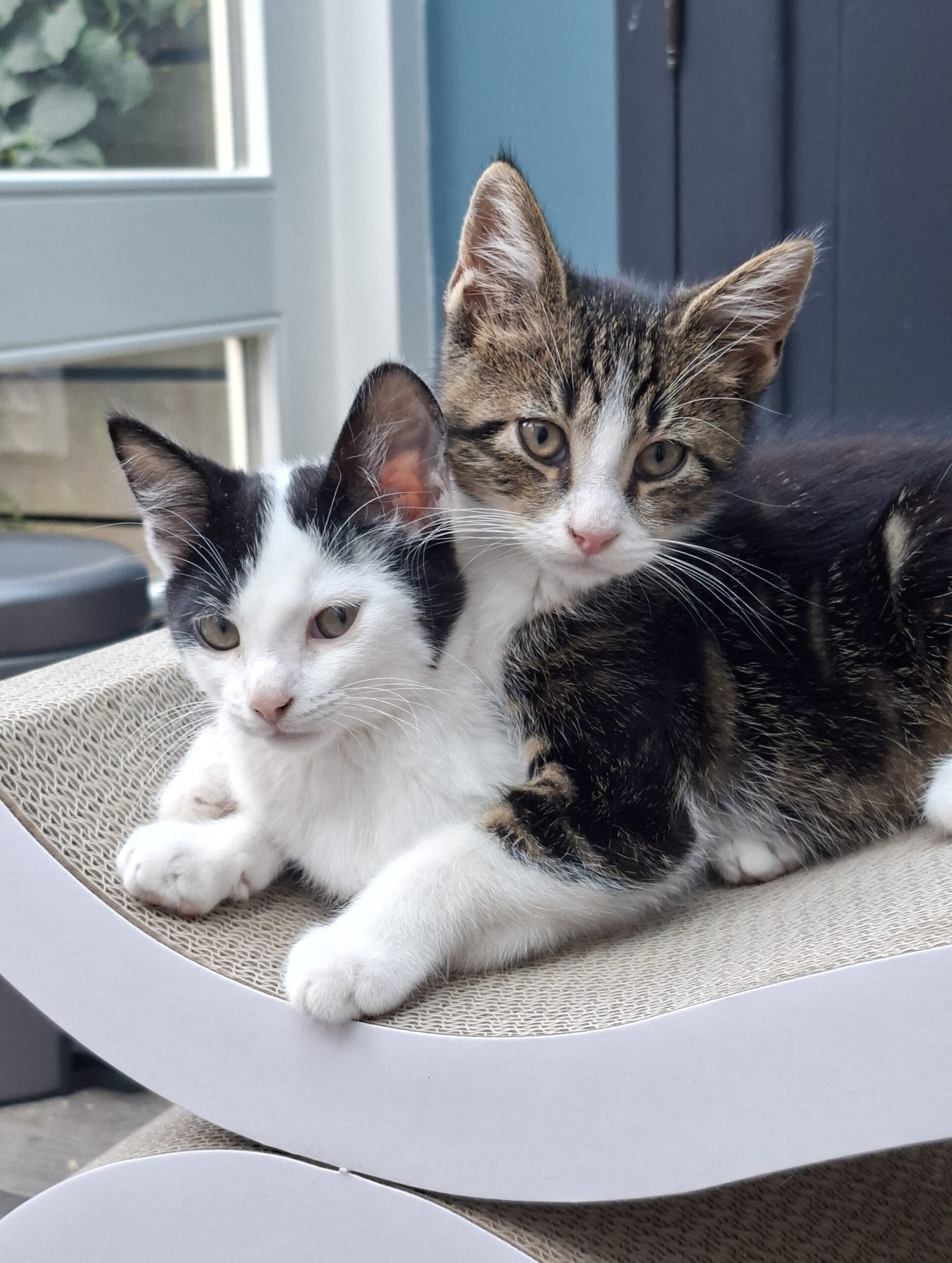 Aram en Otis